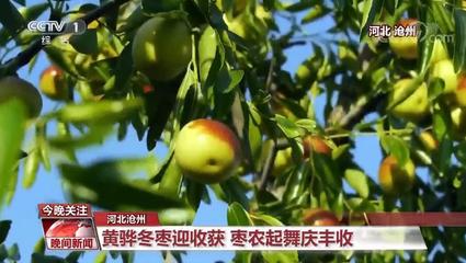中國農(nóng)業(yè)強(qiáng)不強(qiáng)?村民富不富?答案就在這希望的田野上